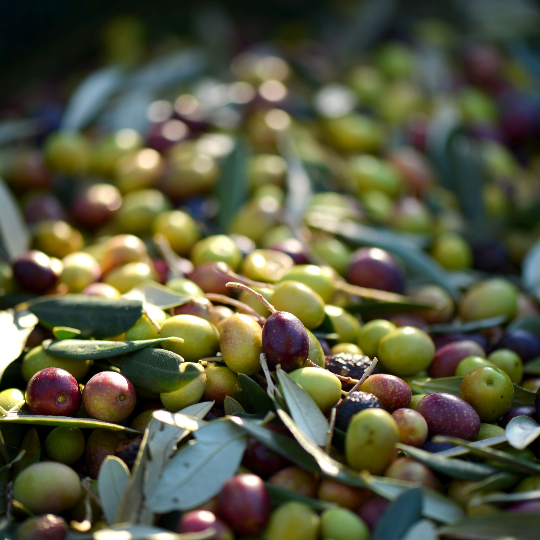 Olive-derived squalane to balance oil production and hydrate acne-prone, sensitive skin without clogging pores